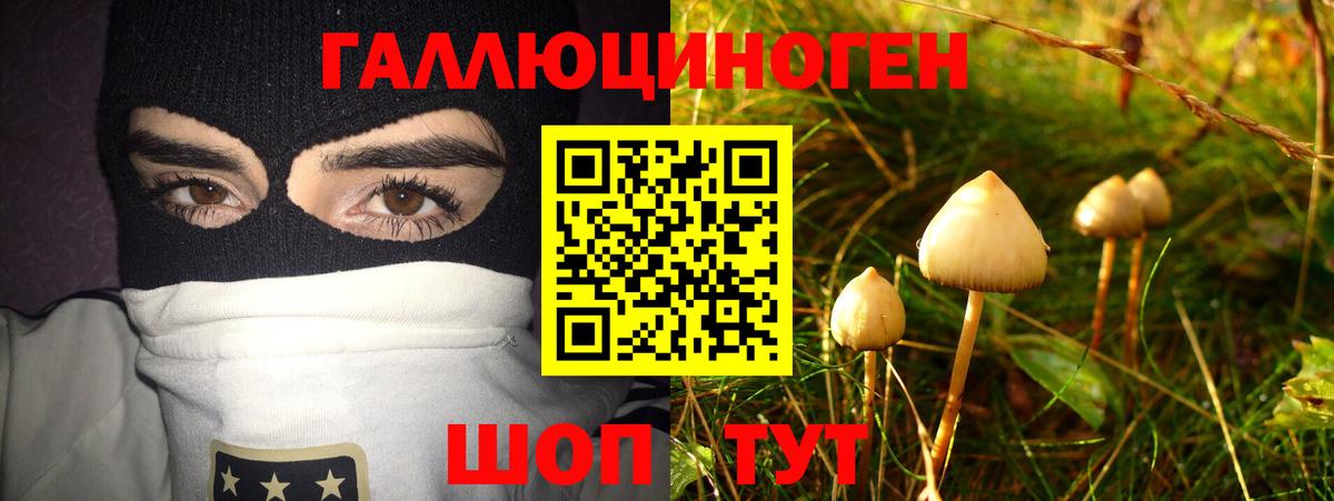 Батайск  Псилоцибиновые грибы Psilocybe  Вход с VPN 